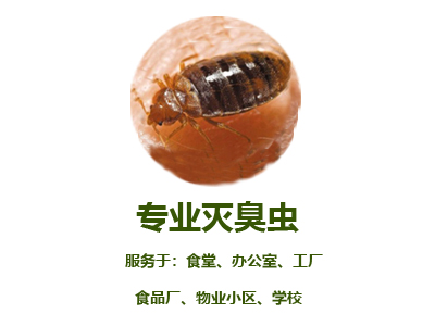 專業(yè)滅臭蟲(chóng)