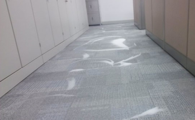 如何清洗地毯？地毯清洗的具體步驟詳解