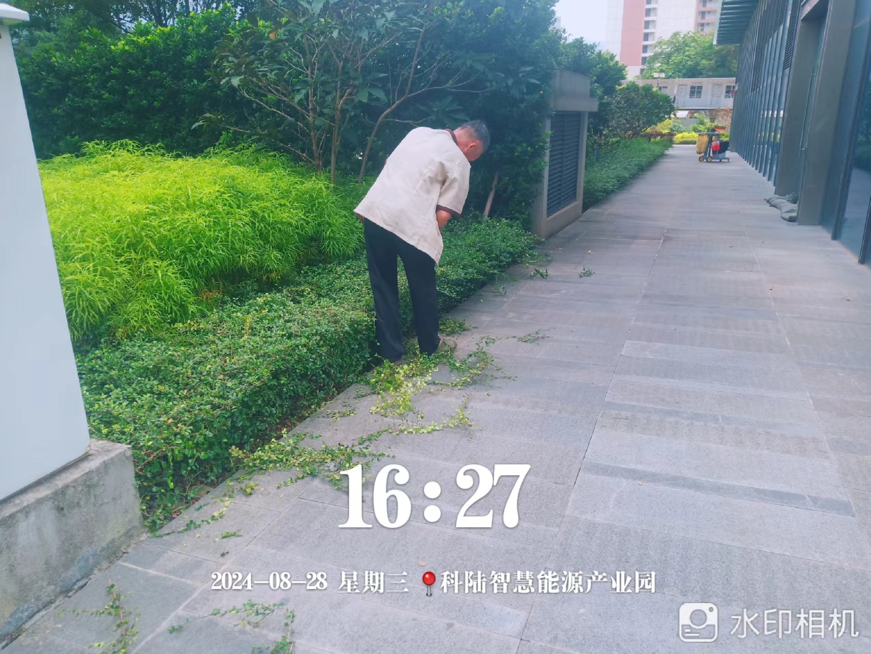園區(qū)保潔員、園林綠化工作人員：揮汗如雨呵護(hù)綠色風(fēng)景線(xiàn)