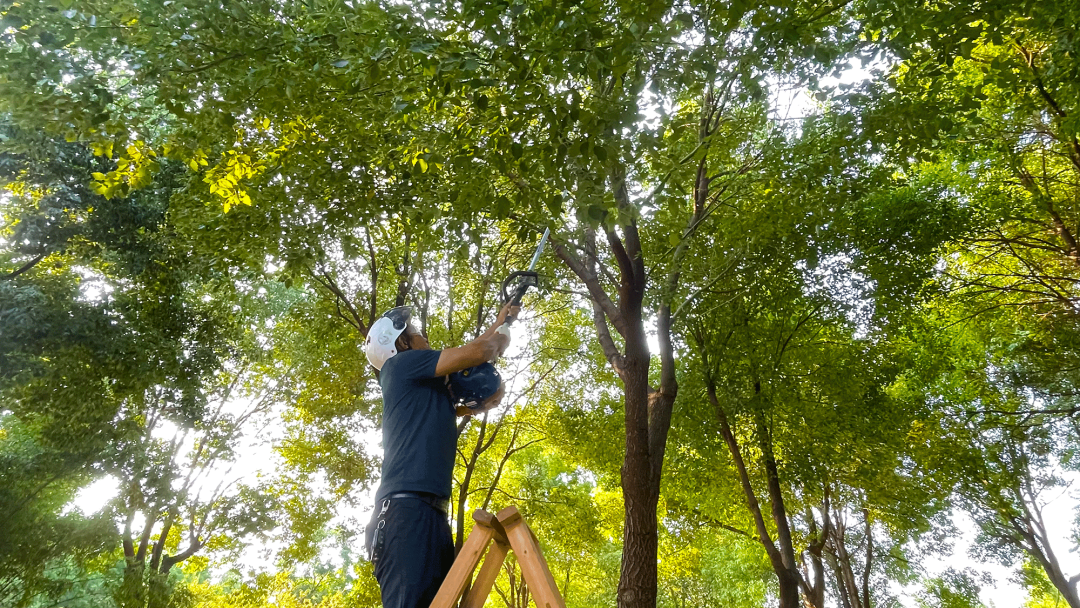 保潔園區(qū)清理不及時(shí)整改總結(jié)_保潔園區(qū)清掃工作計(jì)劃_園區(qū)保潔