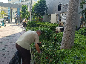 公園保潔工作流程及標(biāo)準(zhǔn)有哪幾個(gè)方面？